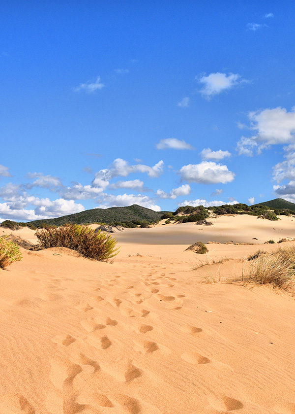 sandy production service sardinia photo